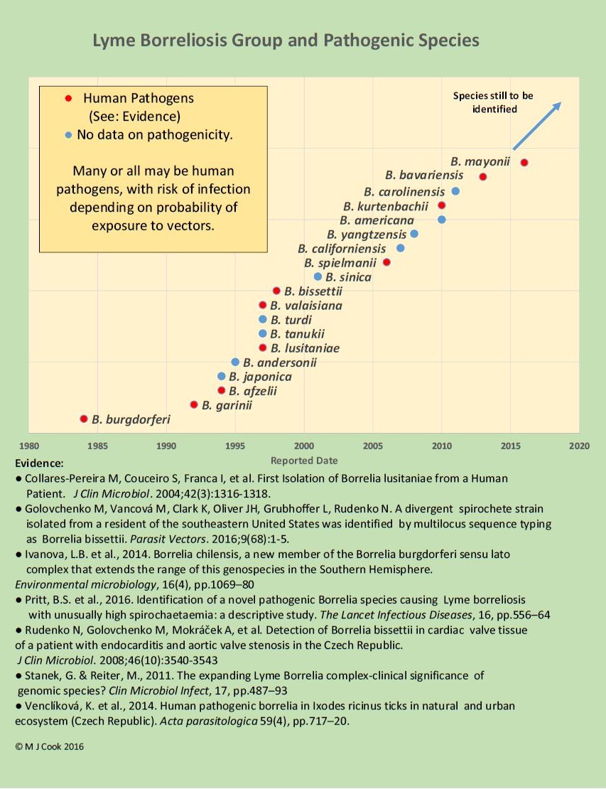 Pathogen Chart